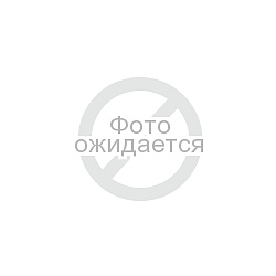 ���� � ����� 21�� - ��� ������