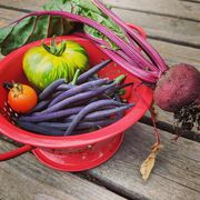 ��� ������ �������?