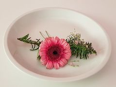 ��� ������ �������� � �������?