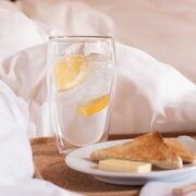 ���� ������������ Pavina 450�� 4560-10-12