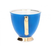 ����� ��� ���� � ������� Dalia Wisdom 250�� CH01