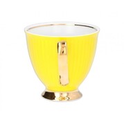 ����� ��� ���� � ������� Dalia Joy 250�� CH05