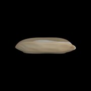 ����� ������������ Forager 23�� 6163RG152