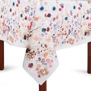 ���������� � ���������� ����������� �������� 160�240�� OtonSaTeMantel-160x240DAC