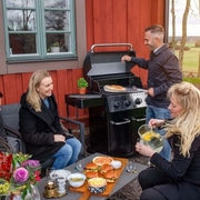 ����� ������� Crown 420 58,4�142,2�116,8�� 865253