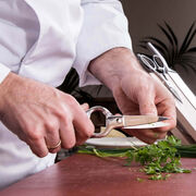 ������� ������������� 20�� 00400