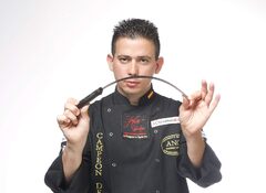 ͳ�+����� Pom 00966