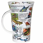 ������ Glencoe World of fishing 500��