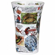 ������ Glencoe World of fishing 500��