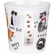 ������ Cairngorm A cat's life 480��