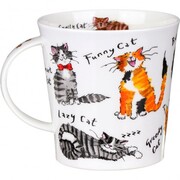 ������ Cairngorm A cat's life 480��