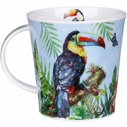 ������ Cairngorm Amazonia Toucan 480��