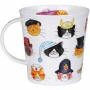 ������ Cairngorm Mad Hatters cat 480��