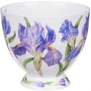 ������ Skye Iris 450��