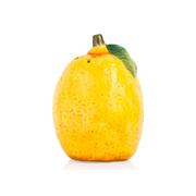 ������� � ��������� ������ ����� 6/8�� 23136