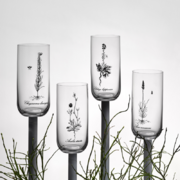 ����� �������� ��� �������� Herbal 440�� b25287-S1742