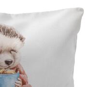 ��������� ����������� Cindy ������ 45�45�� 33493CINDYCojin45x45-C