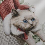 ��������� ������������ Cindy ������� 45�45�� 33493CINDYCojin45x45-D