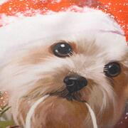 ��������� ����������� XMas ����� 45�45�� 63403XMASCojin45x45-A