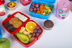 ����-���� Dino Club 6,7�13,3�16,9�� 161279-066