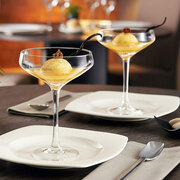 ����� ������� ��� ����������� Chef&Sommelier 300�� 7401/350