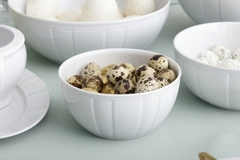 �������� Oktawa 0002_ 14��