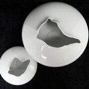 ���� Studio Line Opening 17�� 14265 800001 26017