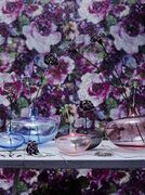 ���� Rose clear 14�� 69085 321371 47014