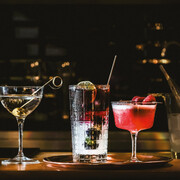 ����� �������� ��� ��������� Bartender Este Cooler 490�� 666228BB9121990