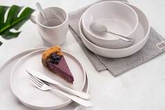 ����� ����� ������ Gemini Venice 14�� AR1906VT