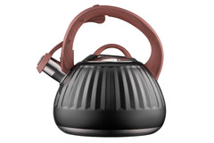 ������ Gemini Black 2,5� AR1958KS