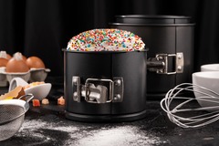 ����� ��������� Gemini 12�10�� AR2505G