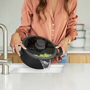 �������� � ������� Leo Stone+ 5,6� 3950594