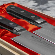 ����� ����� Daichi HG8555W