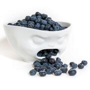 ����� Baffled 19�� TASS24201/TA