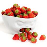 ����� Baffled 19�� TASS24201/TA