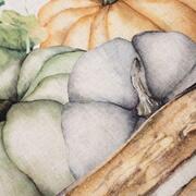 ���� �������� ������� Pumpkins 50�70�� 29441-GARNETtowel-2setB