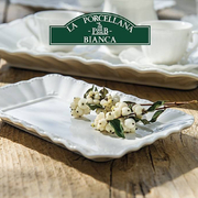 ����� ������������� Ducale 35�26�� P003600435