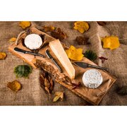 ����� ����� ��� ���� Premium 19x10x1,7�� KaasBlackStone3Del