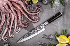 ��� ��� Forged Sebra 20,5�� SebraKoksmes