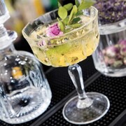 ���� ������� ��� ������������ Opera 230 �� 25849020006