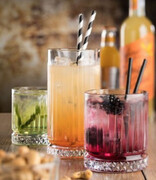 ����� �������� ��� ��������� Elysia 445�� 520015-4