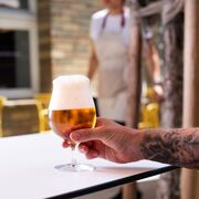 ����� ������� ��� ���� Beer set 540�� 7462 540