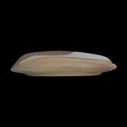 ����� ������������� Forager 34,3�17,3�� 6163RG151