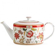 ������ ����� Kashmir 6/16