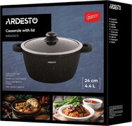 �������� � ������� Gemini Anzio 4,4� AR2424GE