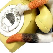 ��������� Linda Jane Smith ������ 9�� 23806 ACC