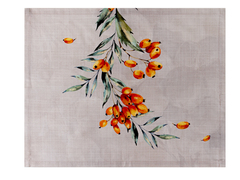 ����� �������� ������������� Paradise fruits 35�45�� 747-006