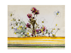 ����� �������� ������������� Patricia 35�45�� 747-024