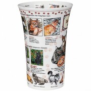 ������ Glencoe World of cat 500��